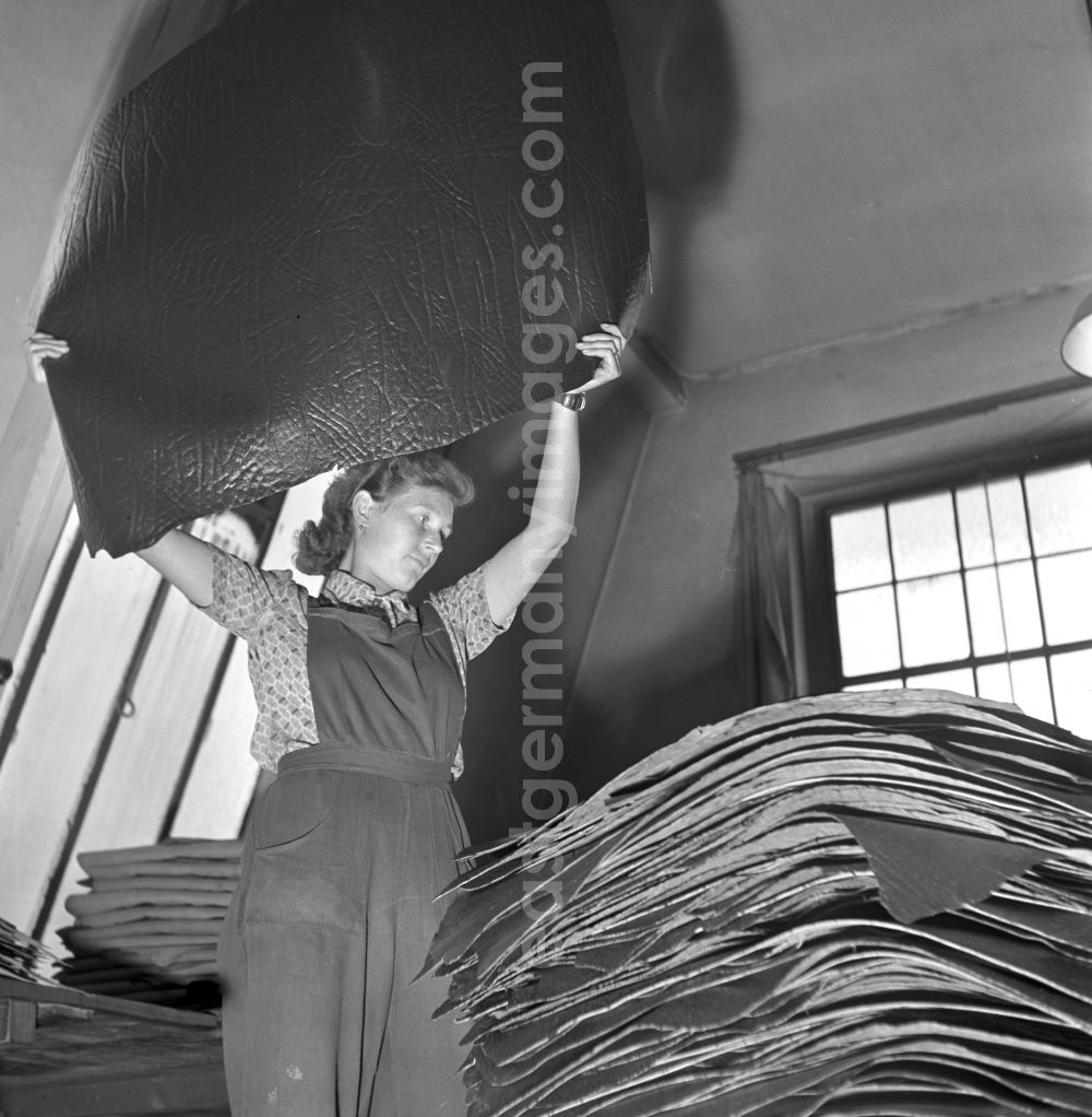 GDR image archive: Stolpen - After pig slaughter in a LPG slaughterhouse, the dried animal hides are packed together in Stolpen, Saxony in the territory of the former GDR, German Democratic Republic