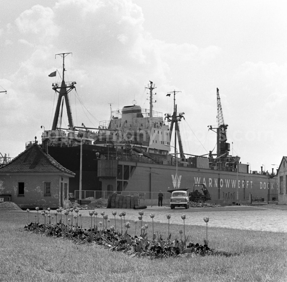 Rostock: The Floating the Warnowwerft is able all large ships of the East German merchant fleet as the almost 20