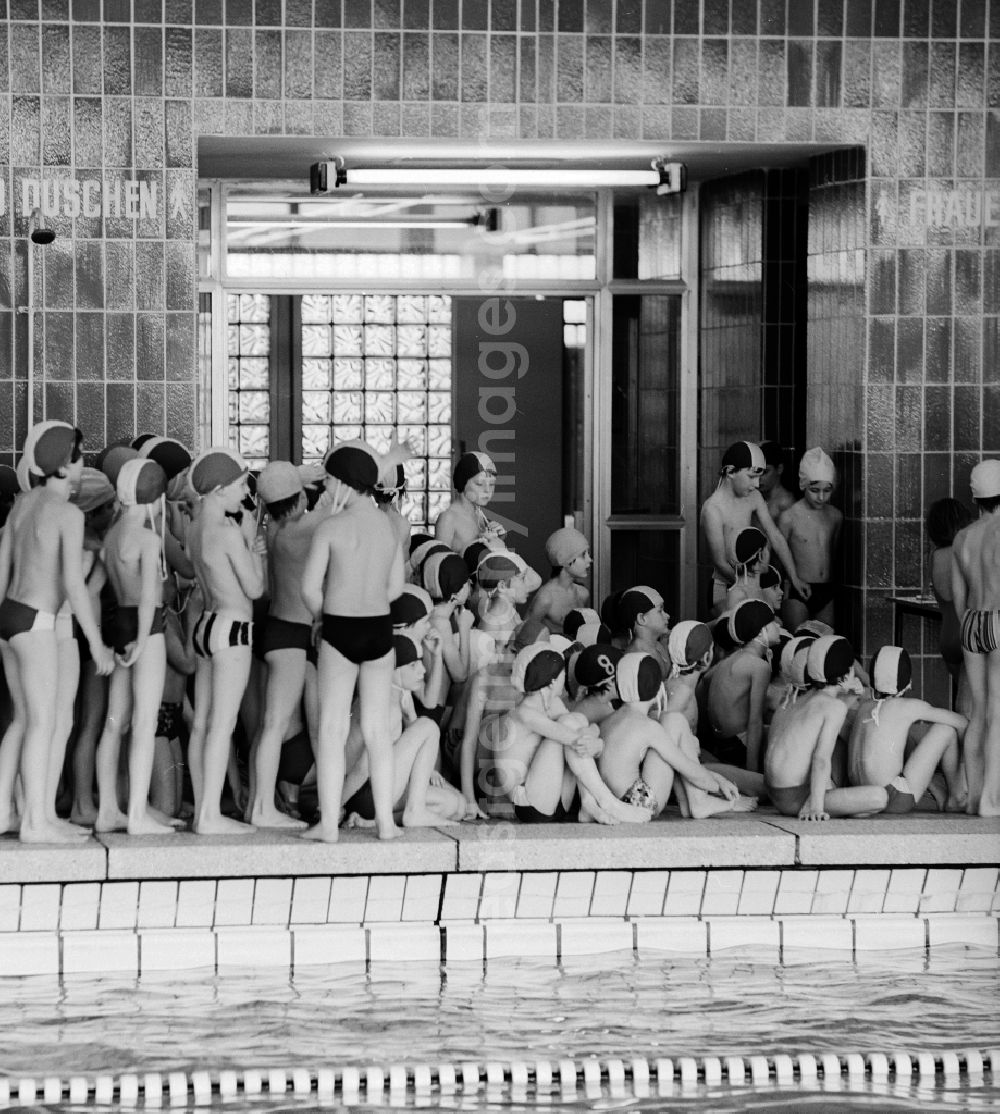 GDR image archive: Berlin - Swimming competition in the indoor swimming pool in Berlin, the former capital of the GDR, German Democratic Republic