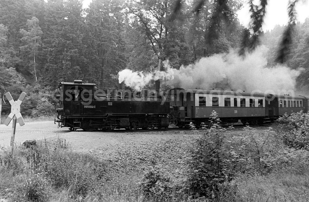 GDR picture archive: Silberhütte - Ein Zug der Selketalbahn ist unterwegs. Die Bahn mit einer Spurweite von 100