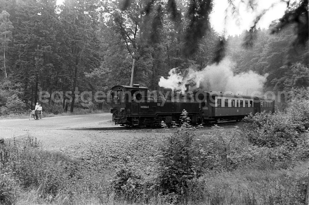 GDR image archive: Silberhütte - Ein Zug der Selketalbahn ist unterwegs. Die Bahn mit einer Spurweite von 100