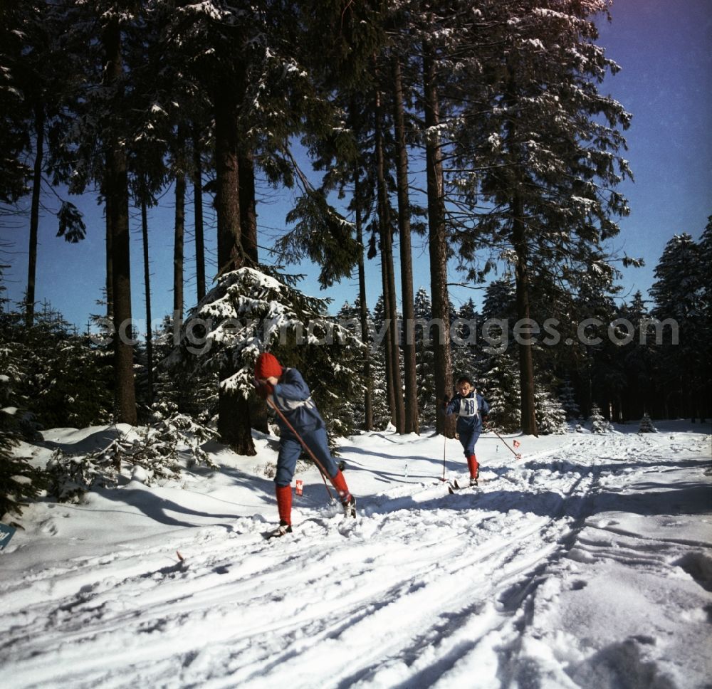 GDR image archive: Oberhof - Winter sports talented in a cross-country skiing training in Oberhof in Thuringia