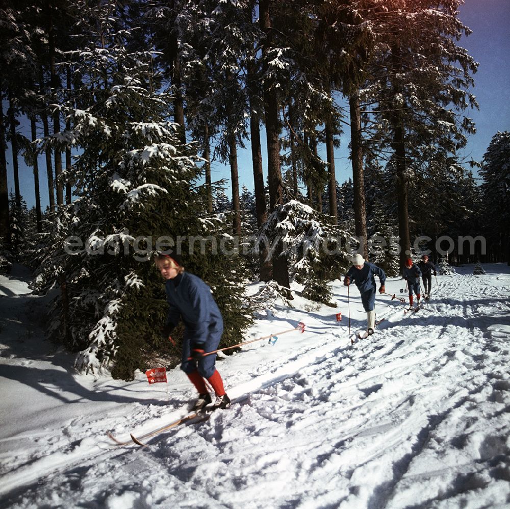 GDR photo archive: Oberhof - Winter sports talented in a cross-country skiing training in Oberhof in Thuringia