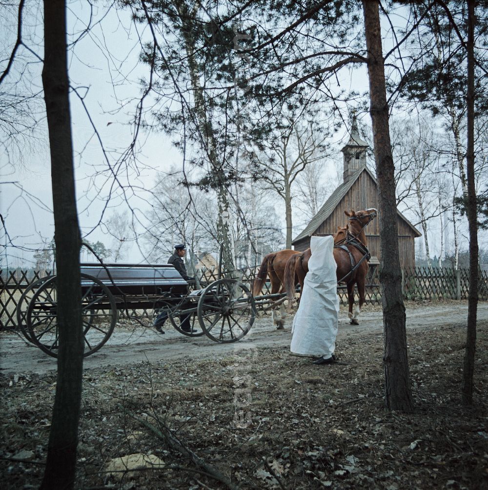 GDR picture archive: Boxberg/Oberlausitz - Funeral service for the funeral in the Spray district in Boxberg/Oberlausitz, Saxony in the territory of the former GDR, German Democratic Republic. A barrow carrying a wooden coffin is pulled along a path by a horse. In the foreground a Sorbian in white mourning costume