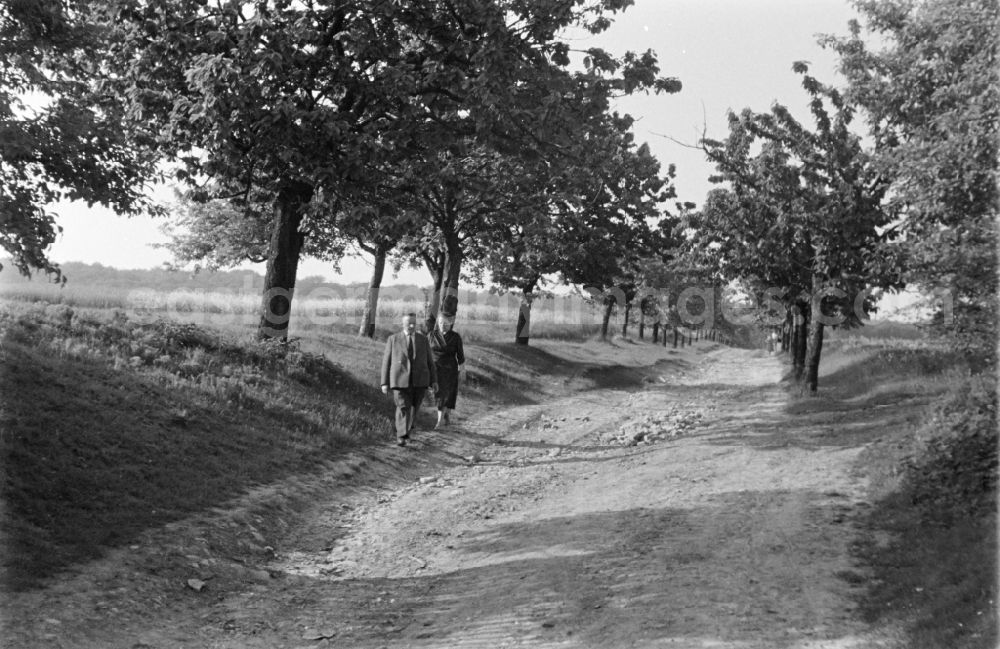 GDR image archive: Sargstedt - Passers-by and strollers on a Sunday excursion on the Dingelstaedter Weg road in Sargstedt in the state Saxony-Anhalt in the area of the former GDR, German Democratic Republic
