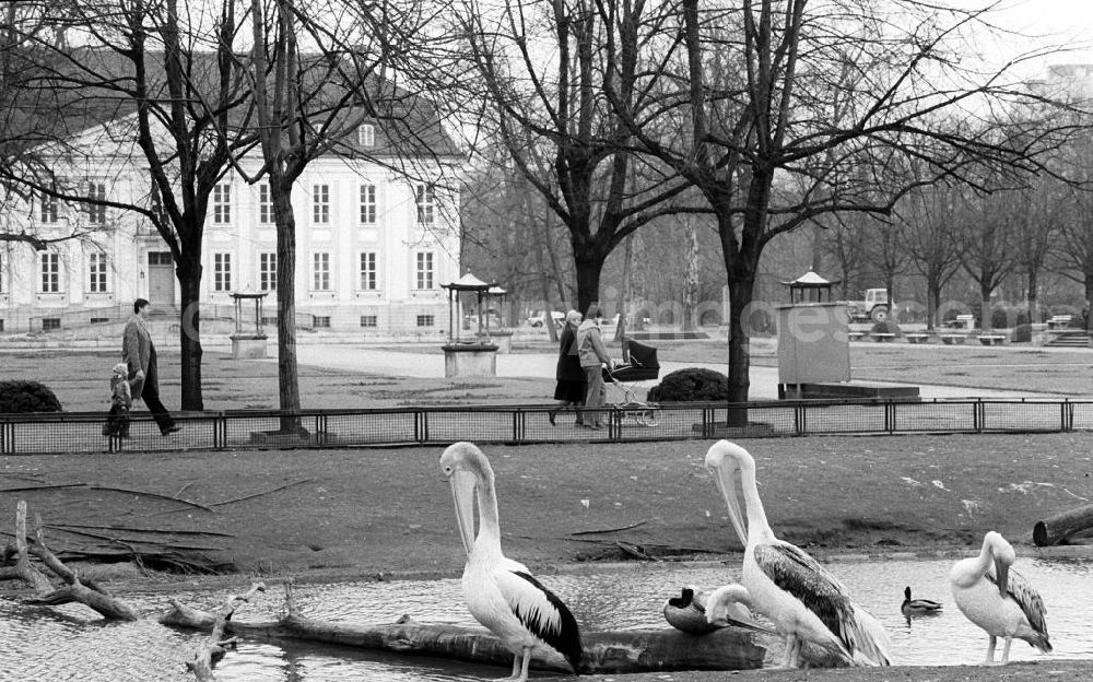 Berlin: Spaziergänger sind im Tierpark unweit vom Schloß Friedrichsfelde unterwegs. Mit 16