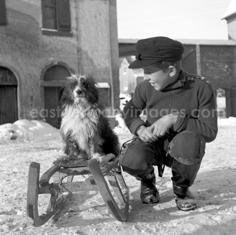 GDR photo archive: Fienstedt - Children's play of a little boy with a dog on the sleigh in a wintery snow-covered farm in Fienstedt, Saxony-Anhalt in the territory of the former GDR, German Democratic Republic