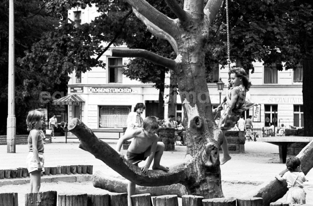 GDR image archive: Berlin-Prenzlauer Berg - Spielplatz Käthe-Kollwitz-Platz 17.