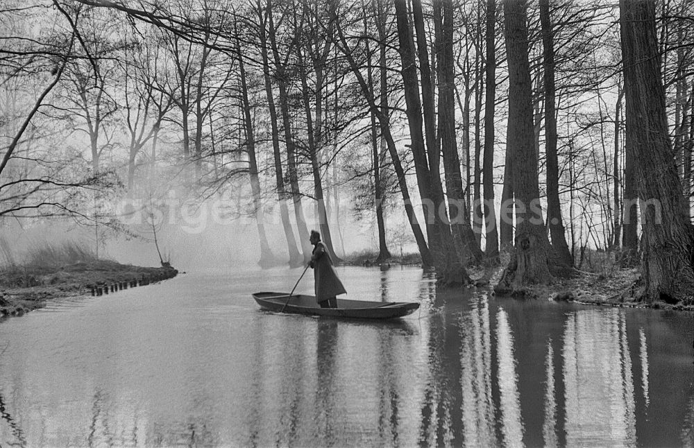 GDR image archive: Lübbenau/Spreewald - Spreewald barge - rowing boat traveling on the main Spree in Lehde Spreewald, Brandenburg in the area of ??the former GDR, German Democratic Republic