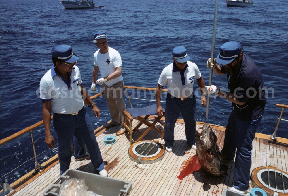 GDR photo archive: Havanna - Enduring fishing by GDR State Council Chairman Erich Honecker and the Secretary of the Central Committee of the Communist Party of Cuba Fidel Alejandro Castro Ruz on a state yacht as part of the cultural context of an official state visit to Havana in Cuba