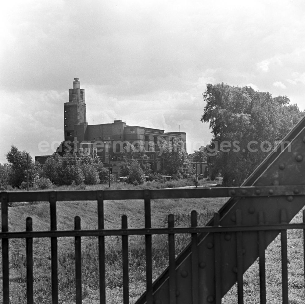 GDR picture archive: Magdeburg - The city hall in Magdeburg and the observation tower, in Rotehornpark on the Elbe island Werder in the center of Magdeburg