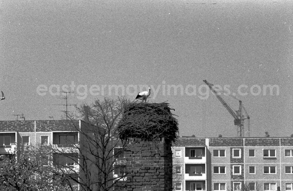 GDR picture archive: Berlin-Hellersdorf - Storchennest - Hellersdorf 12.