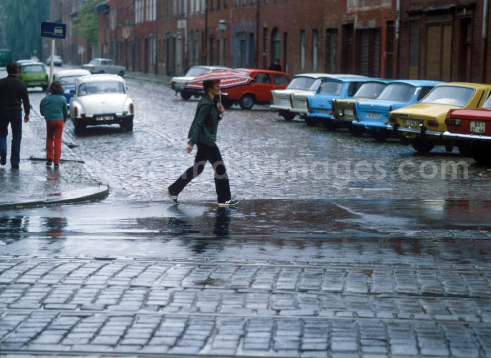 GDR picture archive: Potsdam - Straßenansicht vom Holländischen Viertel bei Regen in Potsdam. Frau mit Regenschirm überquert die Straße. Im Hintergrund parkende Trabis / Trabants.