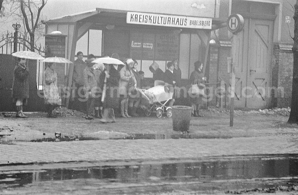GDR photo archive: Potsdam - Travelers wait to board and disembark at a stopder Strassenbahnhaltestelle Kreiskulturhaus Babelsberg on street Karl-Liebknecht-Strasse Ecke Rudolf-Breitscheid-Strasse in Potsdam in DDR