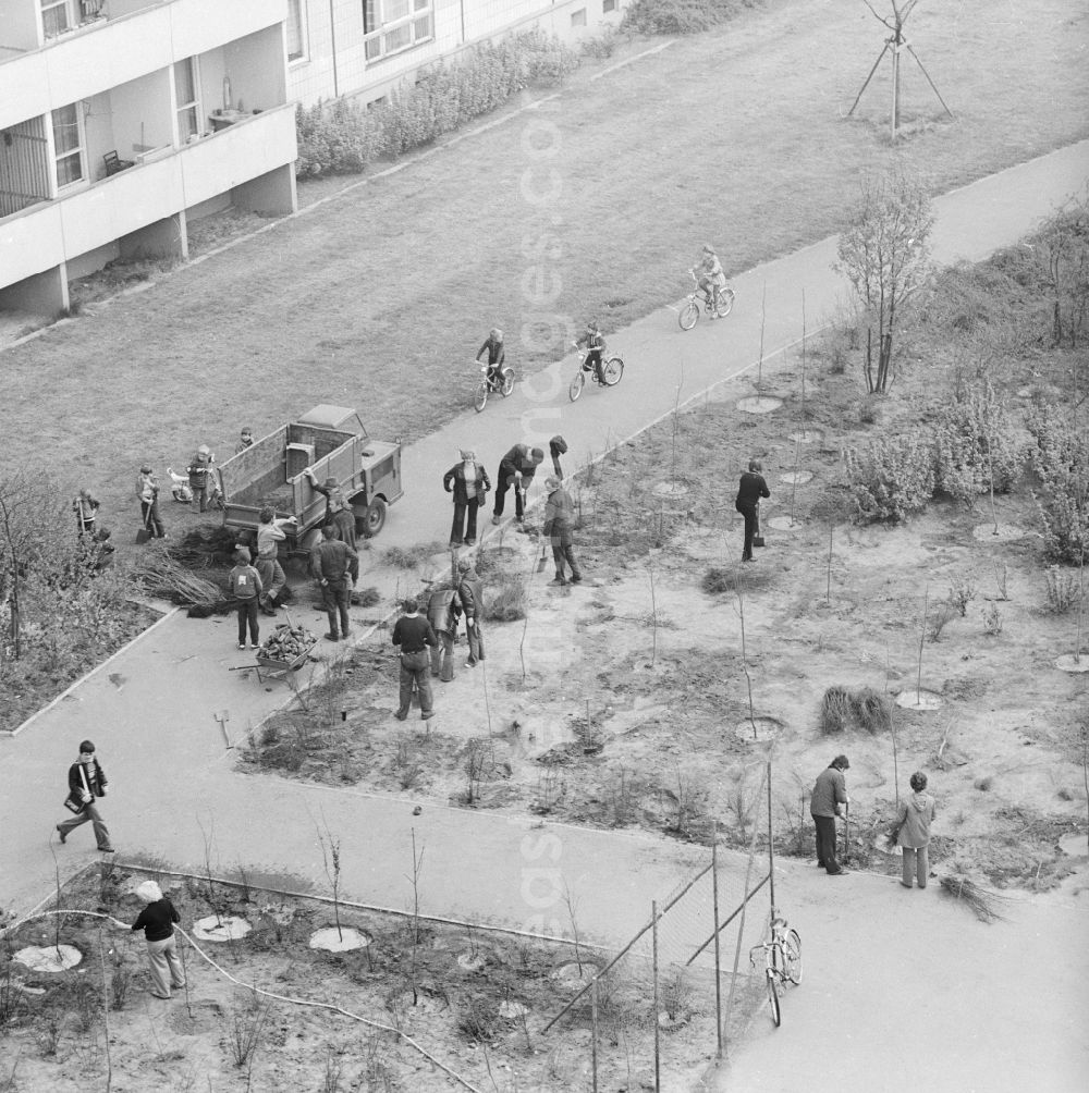 GDR picture archive: Berlin - Subbotnik, voluntary labor in the courtyard in a new residential area in Berlin, the former capital of the GDR, the German Democratic Republic. This was • Annual spring cleaning in the cities, this waste was eliminated, streets were swept, planted trees and shrubs, and much more