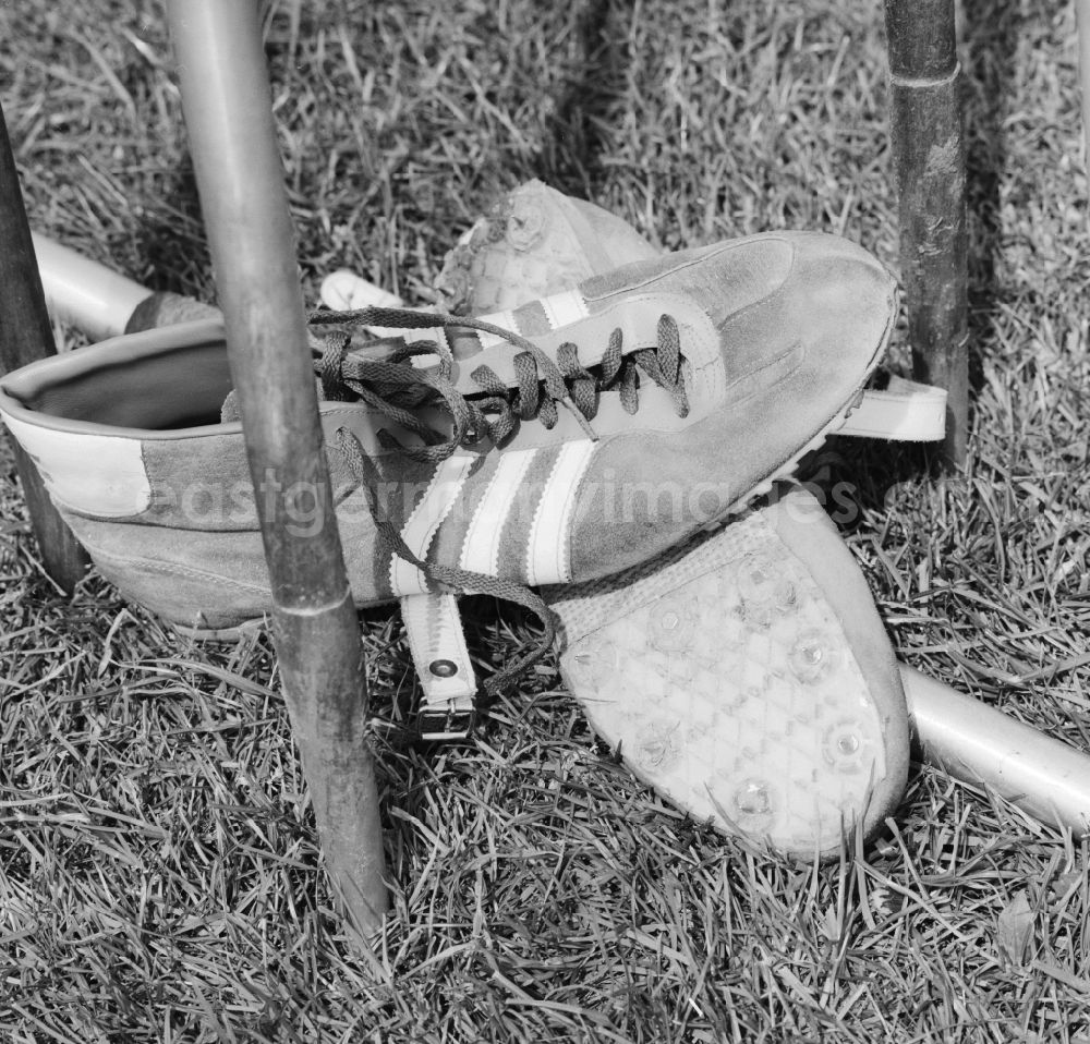 GDR image archive: Potsdam - Symbolic picture - sneakers and spears on a piece of grass in Potsdam in Brandenburg on the territory of the former GDR, German Democratic Republic