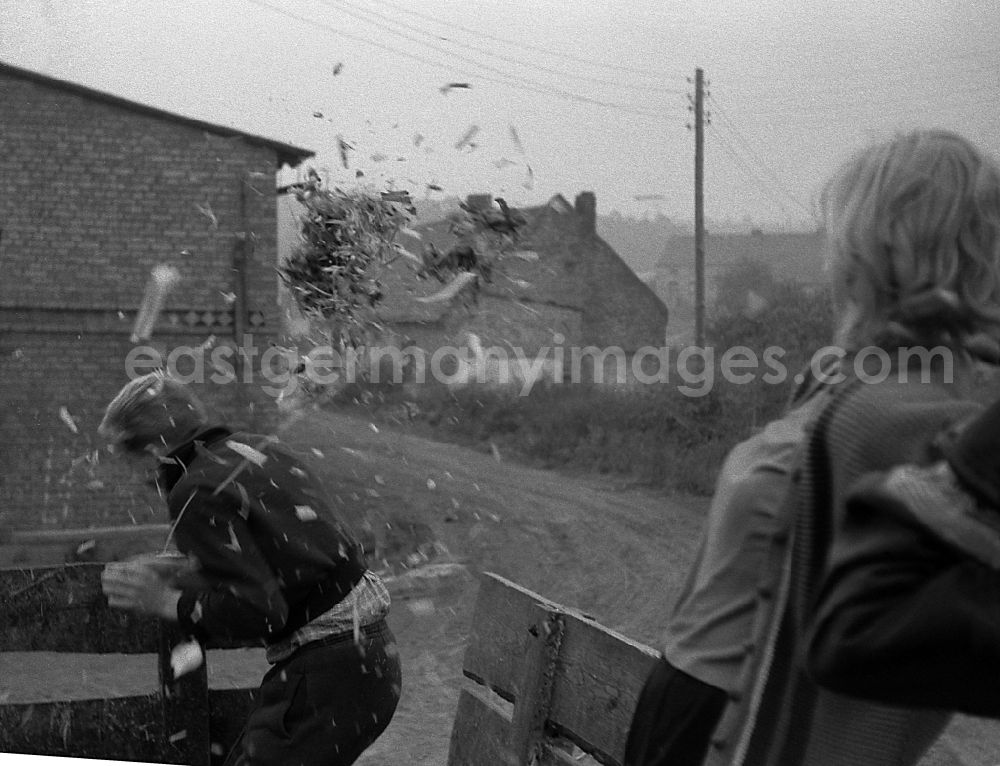 GDR image archive: Werneuchen - End of the day of the potato harvest for 9th grade students in Werneuchen, Brandenburg in the territory of the former GDR, German Democratic Republic