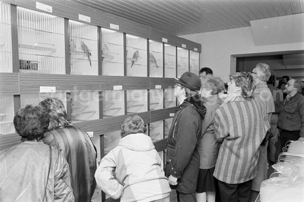 GDR picture archive: Berlin - Pet shop / pet store in the Prenzlauer Berg district of Berlin, the former capital of the GDR, German Democratic Republic. Visitors / customers in the specialist shop in front of cages / aviaries with birds / ornamental birds such as cockatiels and budgies