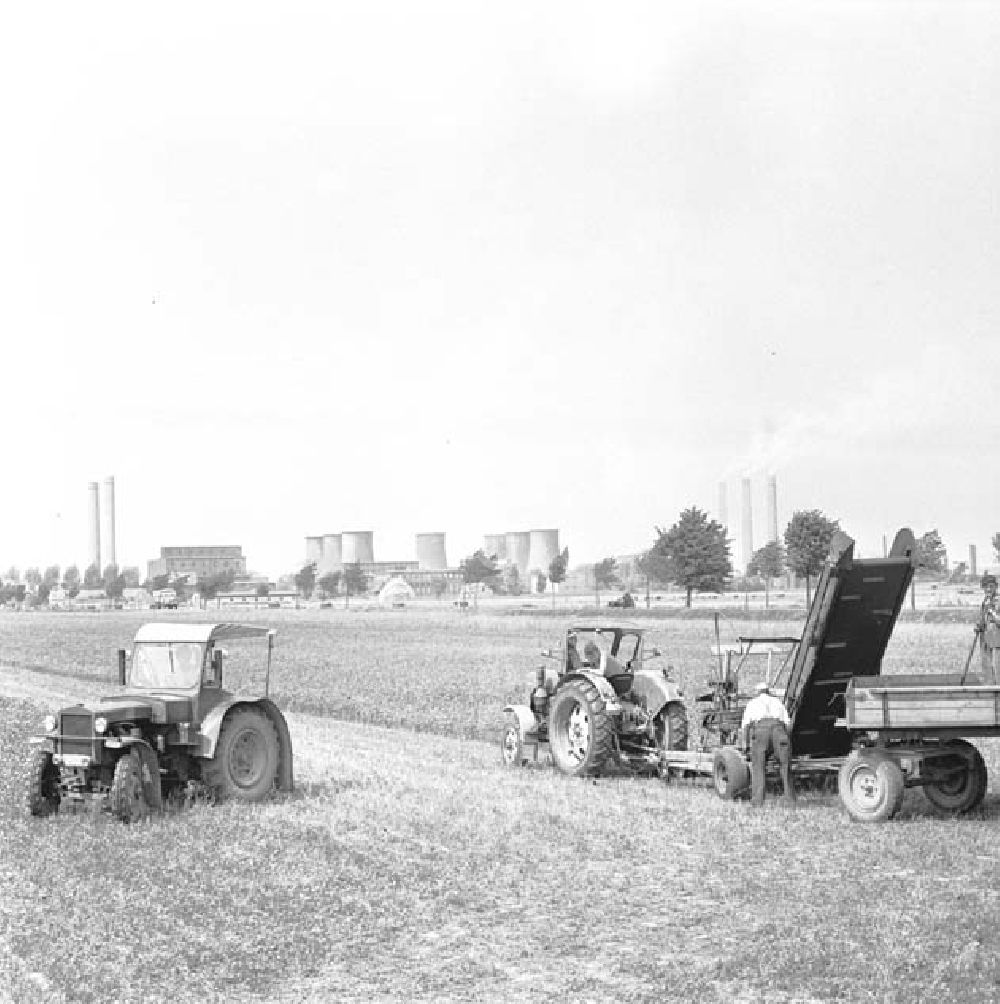 GDR picture archive: Kreis Seelow - Trecker / Traktoren der LPG Karl Marx bei der Ernte auf dem Feld. Kraftwerk im Hintergrund.