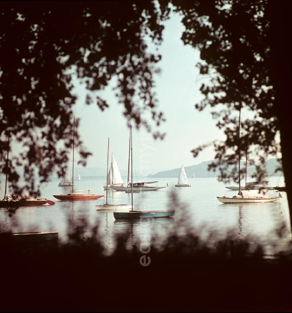 GDR picture archive: Balatonfüred - Segelboote auf dem Balaton. Der ungarische Plattensee gehörte zu den beliebtesten Reisezielen der DDR-Bürger im sozialistischen Ausland.