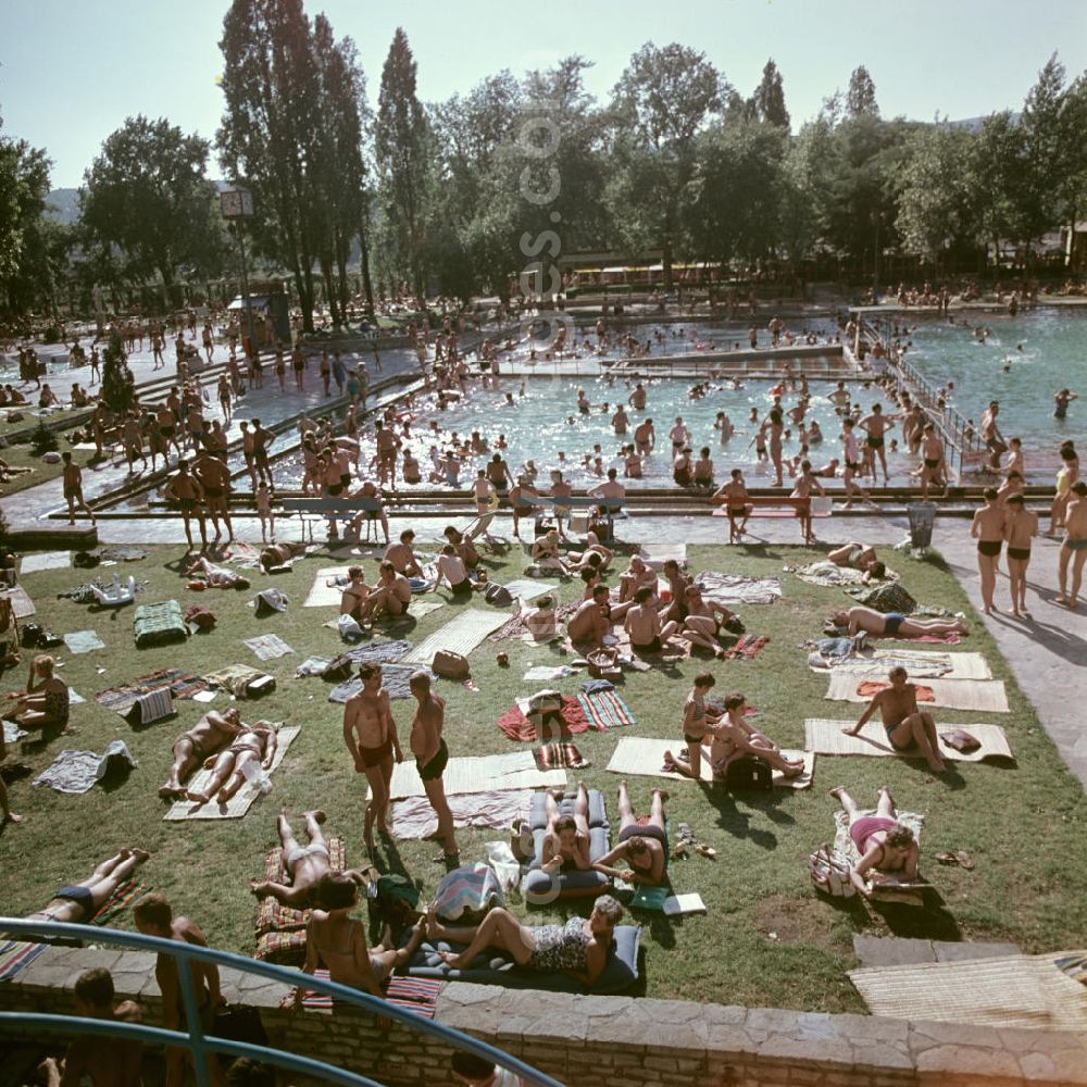 GDR picture archive: Budapest - Dichtes Gedränge herrscht im Freibad Palatinus in Budapest.