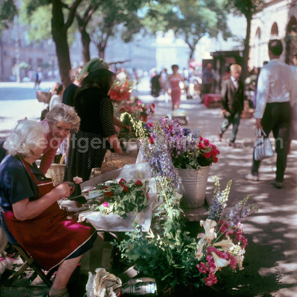 GDR photo archive: Debrecen - Blumenmarkt in Debrecen. Ungarn war für viele DDR-Bürger ein sehr beliebtes Urlaubsziel im sozialistischen Ausland.