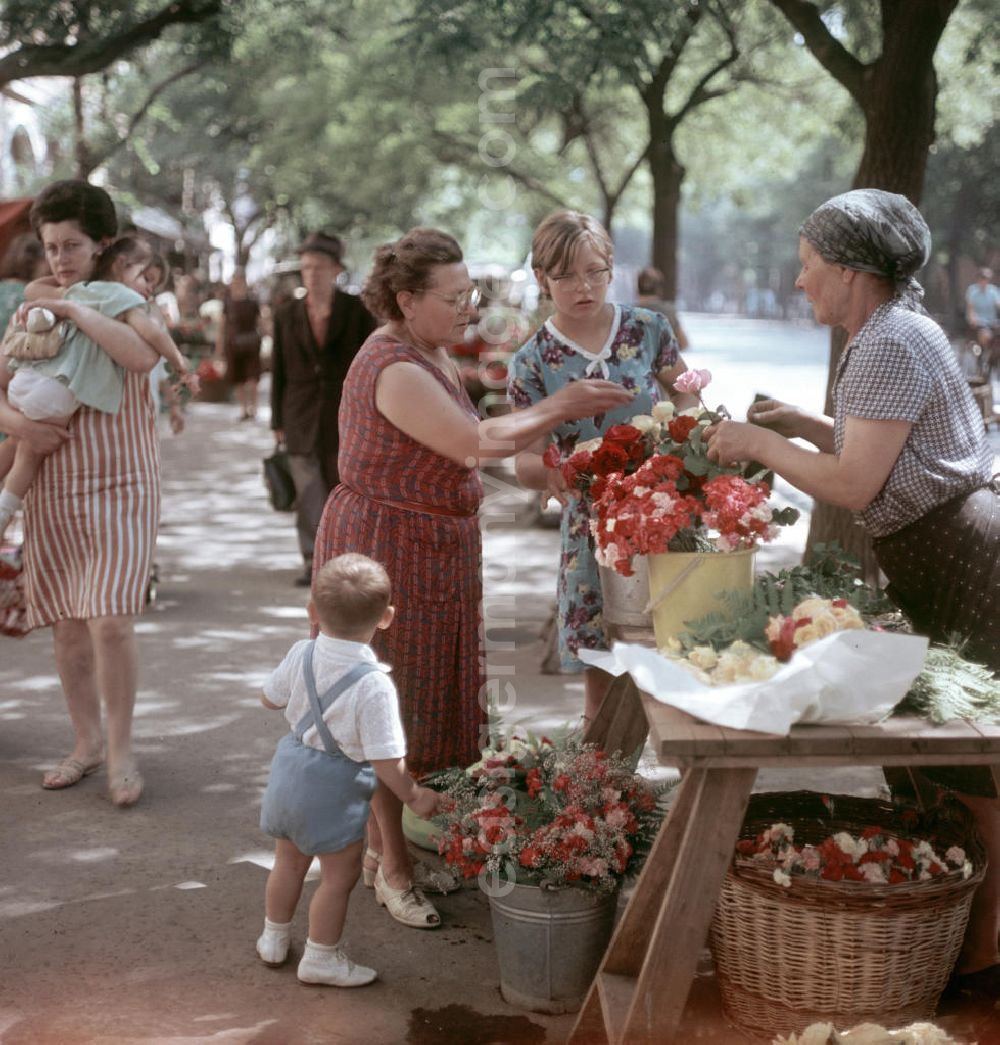 GDR image archive: Debrecen - Blumenmarkt in Debrecen. Ungarn war für viele DDR-Bürger ein sehr beliebtes Urlaubsziel im sozialistischen Ausland.