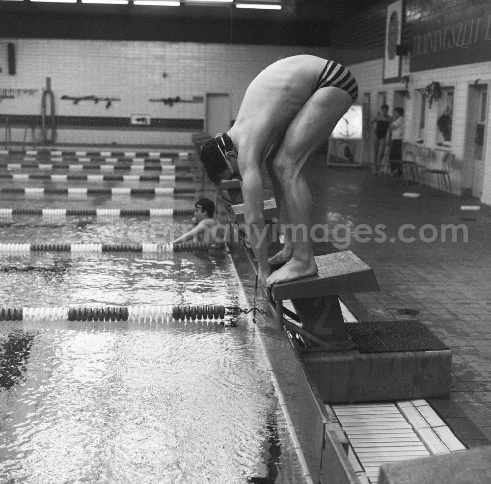 GDR picture archive: Potsdam - The former German swimmer Uwe Dassler, in the training, in Potsdam in the federal state Brandenburg in the area of the former GDR, German democratic republic