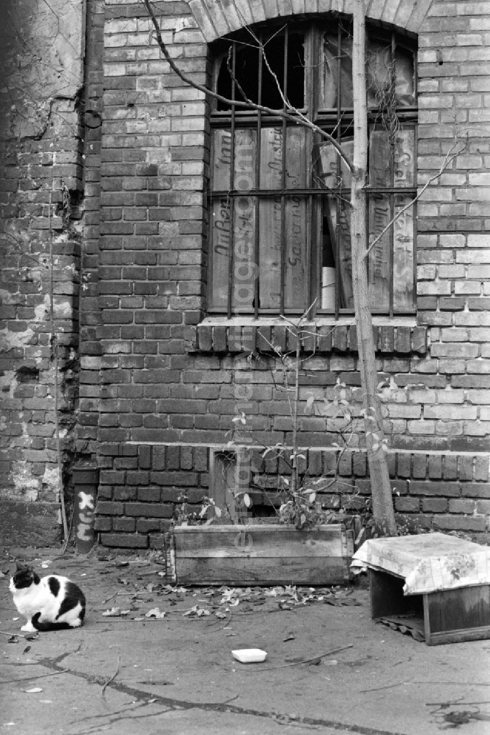 GDR image archive: Berlin - View of the backyard of a ruinous old building in Berlin - Mitte, the former capital of the GDR, German Democratic Republic