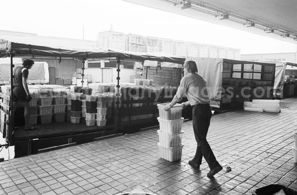 GDR picture archive: Berlin - Employees of the milk court VEB Berlin load in the loading ramp pickup van with milk products in Berlin, the former capital of the GDR, German democratic republic