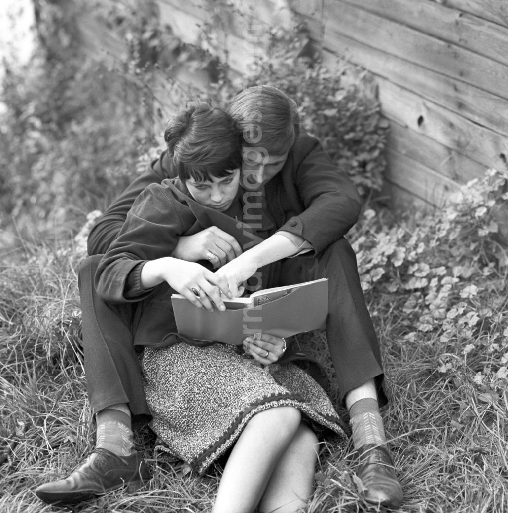 GDR picture archive: - An amorous couple reading a book together on a meadow in Berlin
