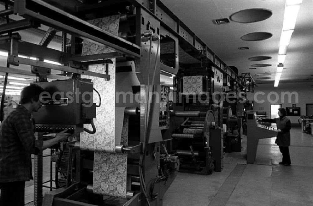 GDR photo archive: Schwerin - Maschinenanlage im Verpakungsmittelbau. (177)