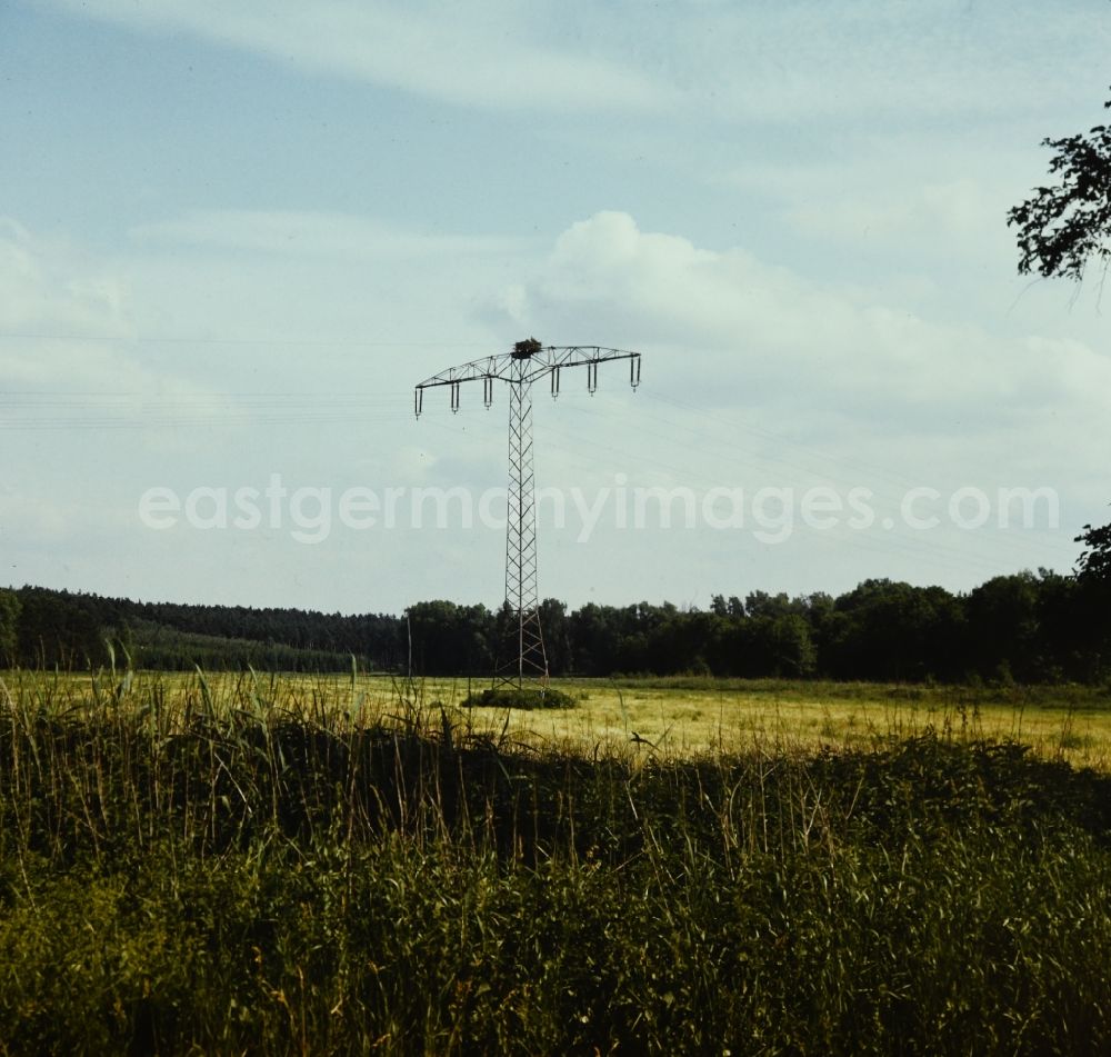 GDR photo archive: Rechlin - Bird species Osprey in an eagle's nest on a power pole in Rechlin in the state Mecklenburg-Western Pomerania on the territory of the former GDR, German Democratic Republic