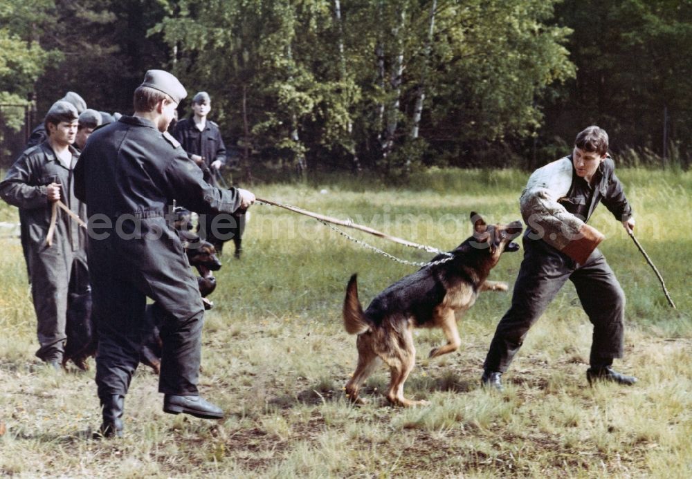 GDR picture archive: Abbenrode - Guard dog training by soldiers of the border guards of the GDR