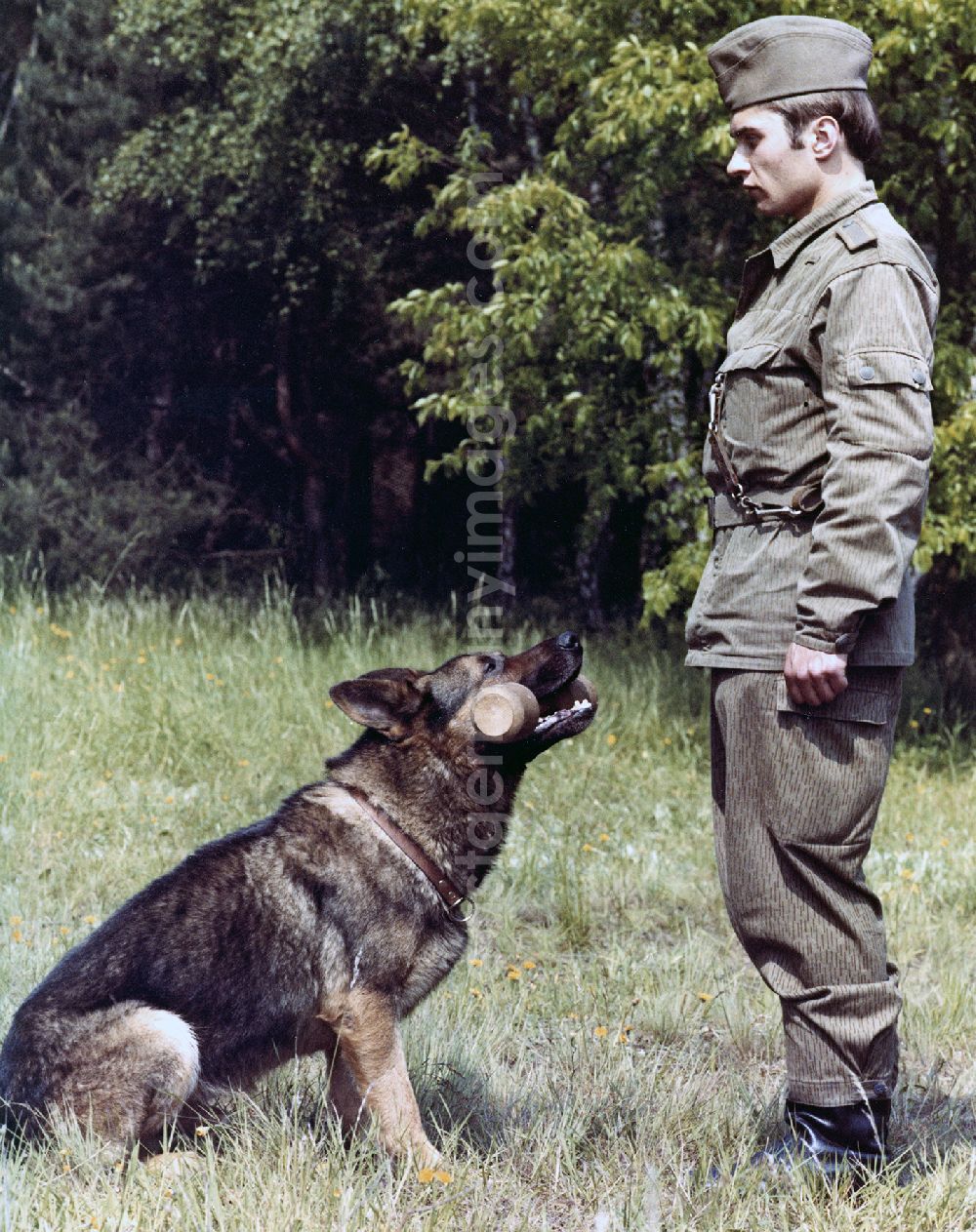 Abbenrode: Guard dog training by soldiers of the border guards of the GDR