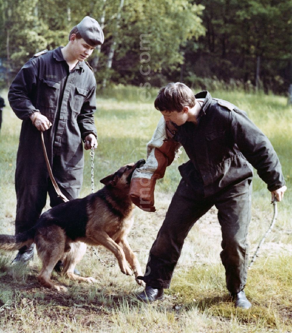 GDR image archive: Abbenrode - Guard dog training by soldiers of the border guards of the GDR
