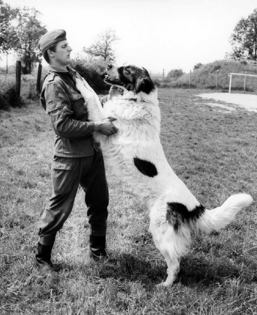 GDR picture archive: Abbenrode - Guard dog training by soldiers of the border guards of the GDR