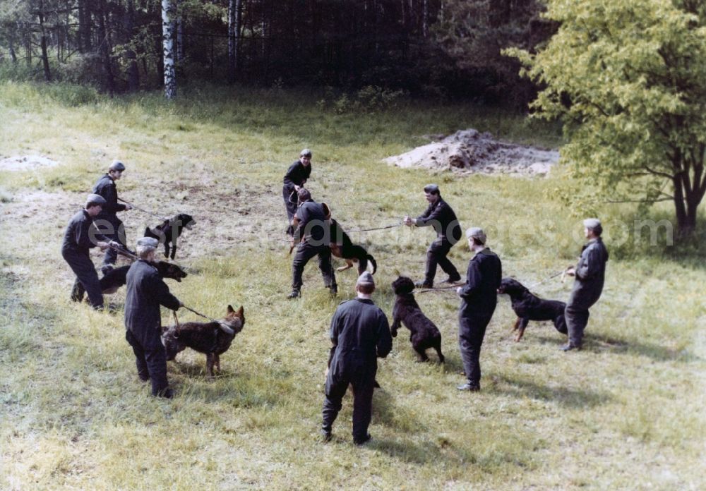 Abbenrode: Guard dog training by soldiers of the border guards of the GDR