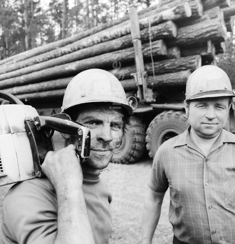 GDR photo archive: Grünheide (Mark) - Forests and forestry workers during felling of pines in the forest in Gruenheide (Mark) in present-day state of Brandenburg