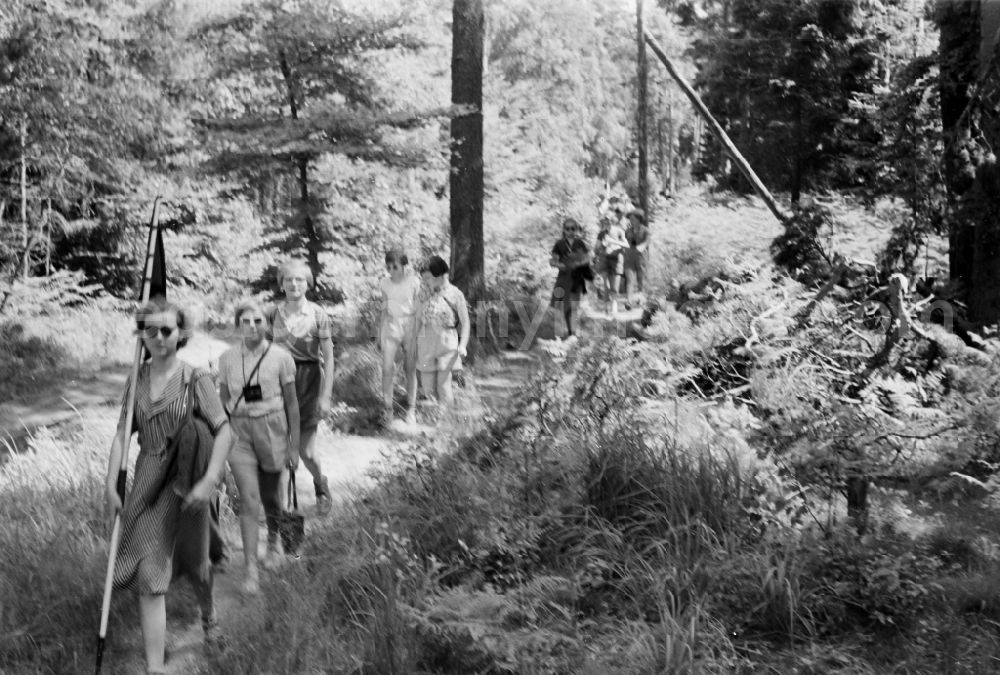 GDR picture archive: Prerow - Group of children and teenagers hiking with the pennant youth organization's pennant in Prerow in the state Mecklenburg-Western Pomerania on the territory of the former GDR, German Democratic Republic