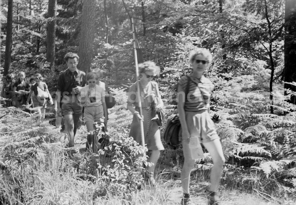 Prerow: Group of children and teenagers hiking with the pennant youth organization's pennant in Prerow in the state Mecklenburg-Western Pomerania on the territory of the former GDR, German Democratic Republic