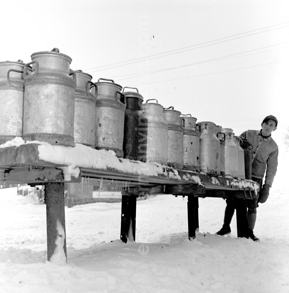 GDR photo archive: Fienstedt - Delivery of everyday goods from drinking milk in milk cans made of aluminum from a truck Lorry on Dorfstrasse in Fienstedt in the state of Saxony-Anhalt in the area of ??the former GDR, German Democratic Republic
