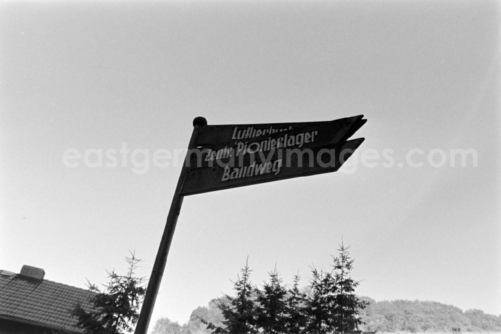 GDR photo archive: Südharz - Signpost with the inscription Lutherbuche, Zentr. Pionierlager und Bandweg in Stolberg (Harz) South Harz in the federal state Saxony-Anhalt on the territory of the former GDR, German Democratic Republic