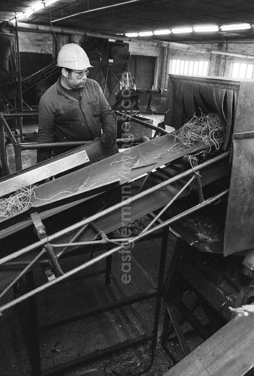 GDR image archive: Berlin - Valuable material separation in the combine VEB secondary raw material capture (SERO) in Berlin, the former capital of the GDR, German democratic republic. An employee separates valuable metals about a conveyor belt run