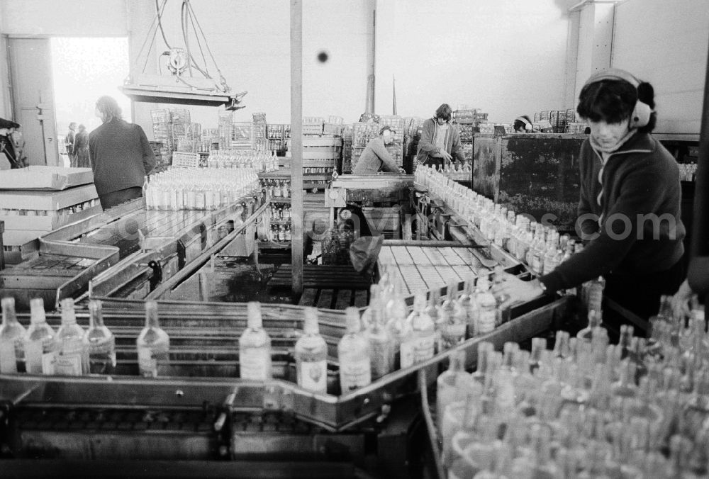 Berlin: Valuable material separation in the combine VEB secondary raw material capture (SERO) in Berlin, the former capital of the GDR, German democratic republic. Employees sort here old glass bottles about a conveyor belt run. After the turn the Alba daughter Abfallwirtschaftsunion (AWU) took over the company in meal village