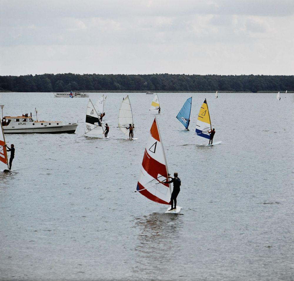 GDR image archive: Berlin - Windsurfers during windsurfing on the Mueggelsee lake in Friedrichshagen in Eastberlin on the territory of the former GDR, German Democratic Republic