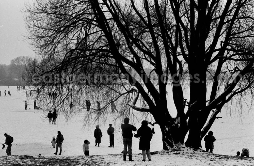 GDR image archive: Berlin - Winter in Berlin (Archivkästen)
