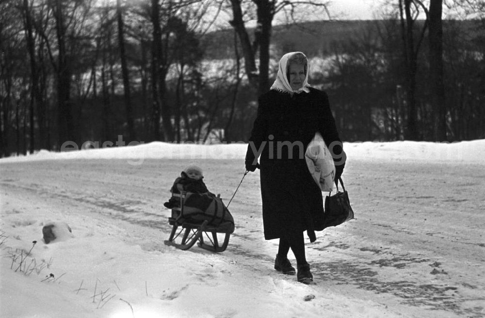 GDR picture archive: Ilmenau - Eine ältere Frau zieht in Ilmenau ihr dick eingemummeltes Enkelkind auf dem Schlitten durch den Schnee.