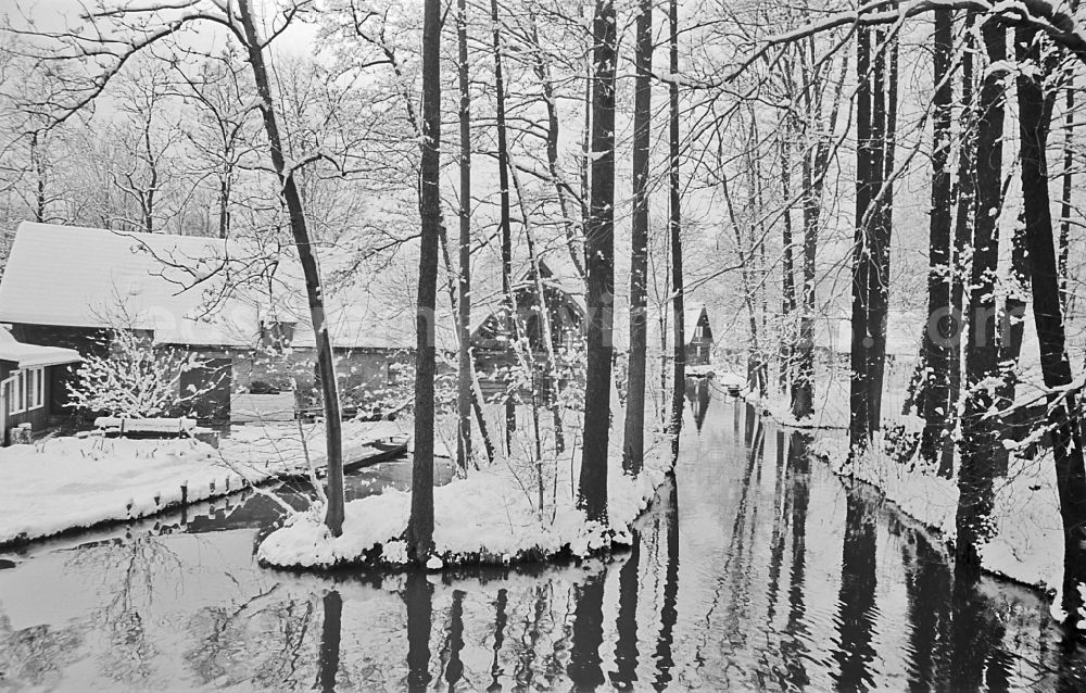 GDR picture archive: Lehde - Winter landscape on a branch of the Spree in Lehde im Spreewald, Brandenburg on the territory of the former GDR, German Democratic Republic
