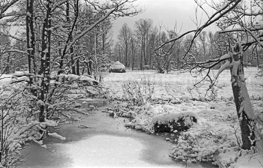 Lehde: Winter landscape on a branch of the Spree in Lehde im Spreewald, Brandenburg on the territory of the former GDR, German Democratic Republic